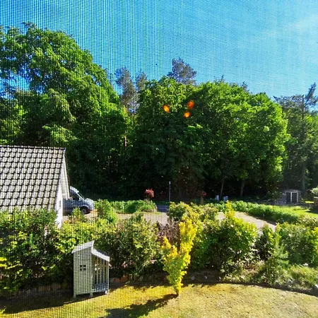 Kuestenwaldhaus Seepferdchen Koserow