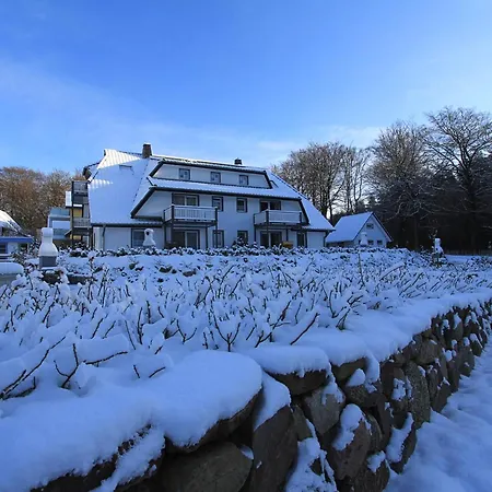 Kuestenwaldhaus Seepferdchen * Koserow